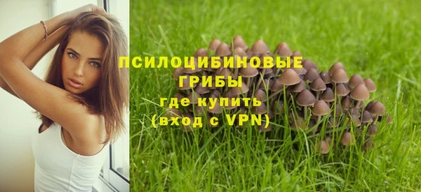 a pvp Алзамай